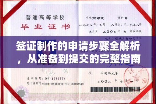 丰润签证制作的申请步骤全解析，从准备到提交的完整指南
